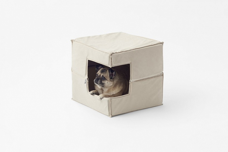 фото:Дизайн в кубе для четвероногих питомцев