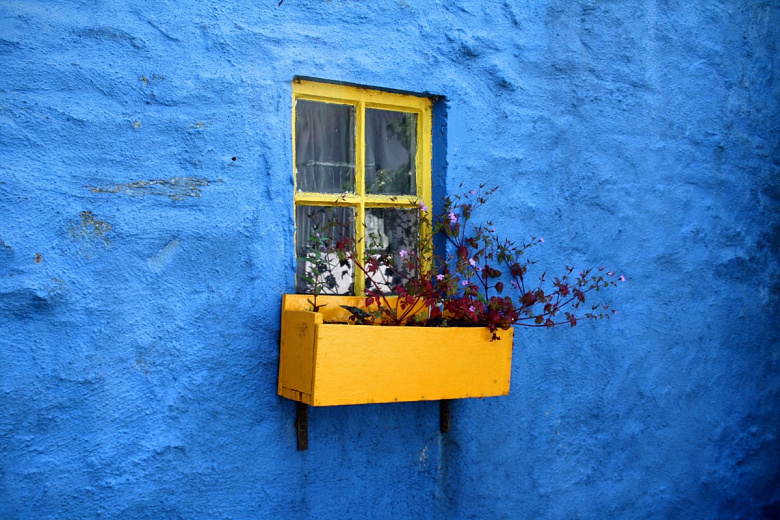 фото:Красота изнутри и снаружи: как устроить цветник за окном