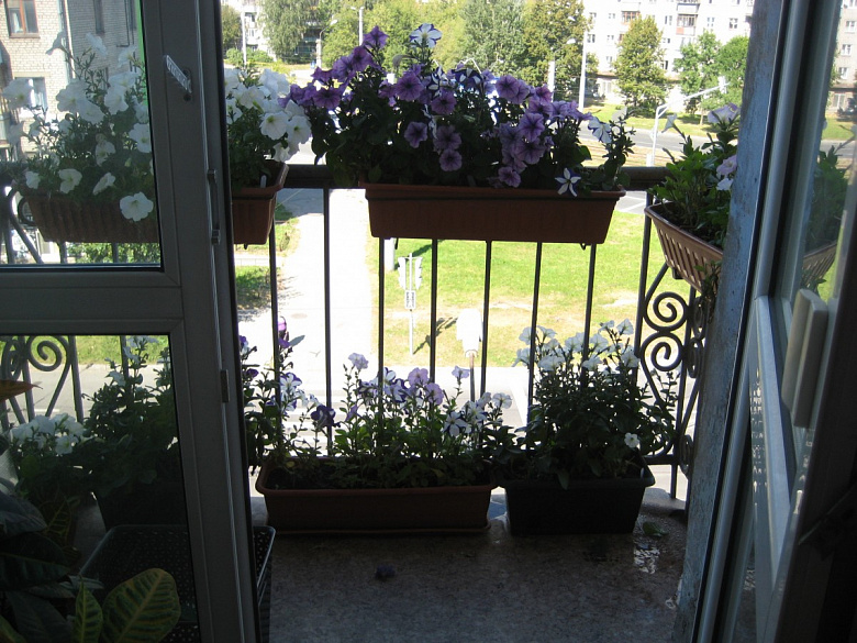 фото:Балкон летом