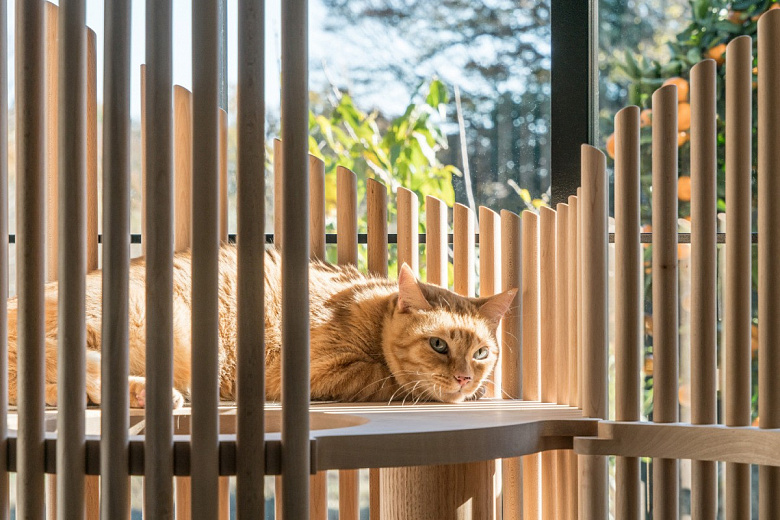 фото:Современный домик-дерево для кошки