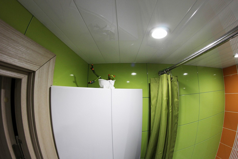 фото:Салатная ванная комната (опять с лягушкой)