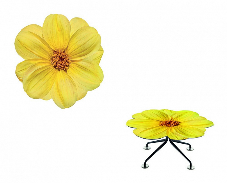 фото:Яркий цветочный акцент: стол-букет
