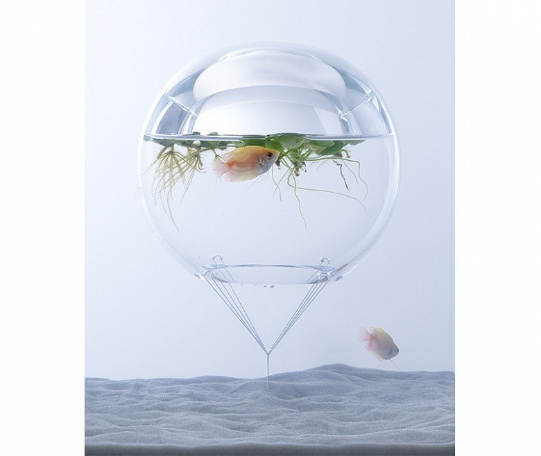 фото:Подводная жизнь: дизайн аквариума по-японски
