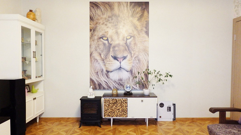 фото:Квартира со львом. Гостиная/Прихожая/Коридор