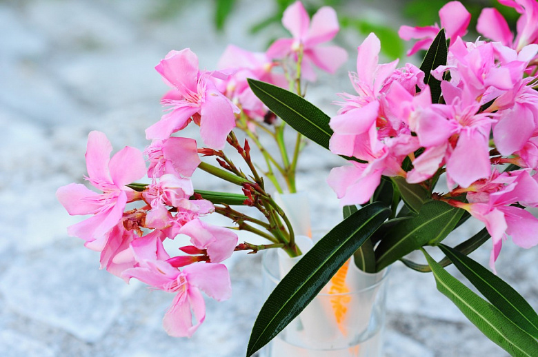 фото:Летний декор - цветы на столе